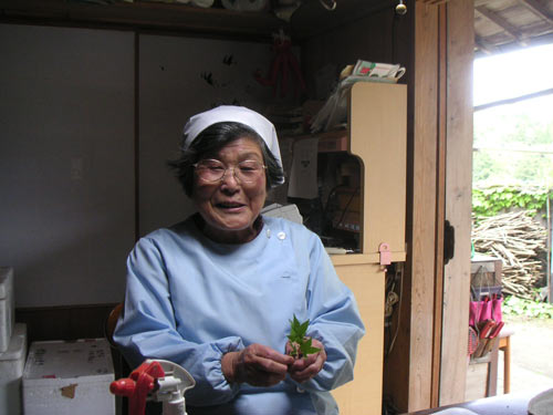 丁寧にパック詰めの作業をしながら話をしてくれた増喜子さんは、80歳とは思えないほど元気。背筋もピシッと伸びている