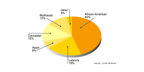 エスニシティ分布。1998年から2002年の間に、ジュマ・ベンチャーズで働いた青少年のエスニシティ。アフリカ系アメリカ人が45%、ラティーノ/ラティーナが19%、白人が15%と続く。米国全体の人口構成は白人が69%、黒人およびラティーノが各13%、アジア系・その他が5%なので、全体の構成比からは大きくずれてマイノリティが大きな割合を占めている。