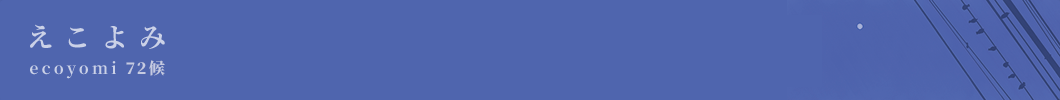 ecoyomi_01