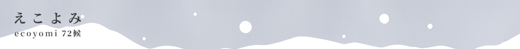 ecoyomi_17