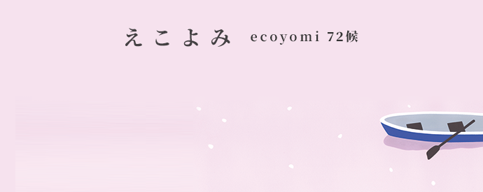 ecoyomi_00