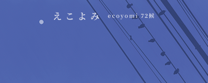 ecoyomi_01