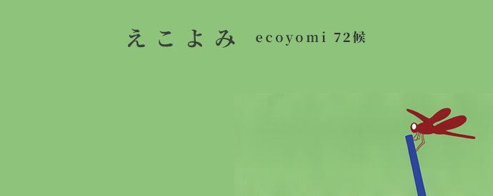 ecoyomi_10