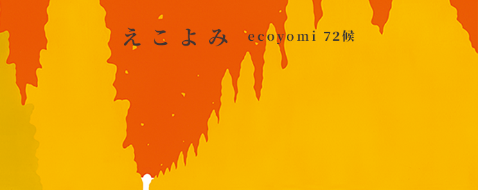 ecoyomi_14