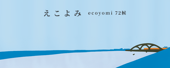 ecoyomi_20