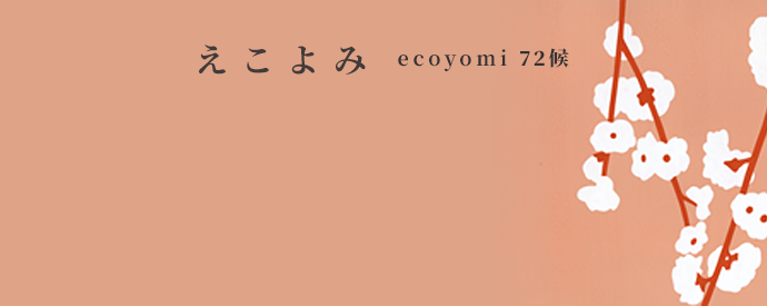 ecoyomi_21