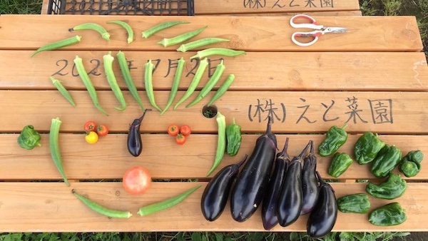 「タネ」を巡る2人の物語 – 伝統野菜を守る若き...
