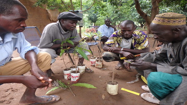 「里山づくり」でアフリカの生活と森を再生する