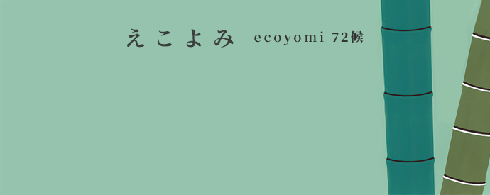 ecoyomi_03