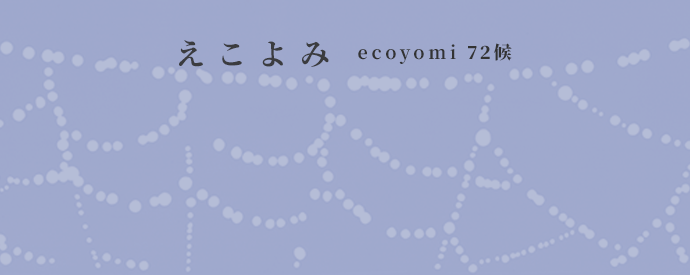 ecoyomi_05