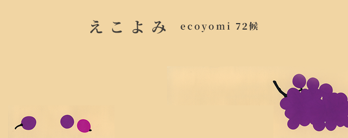 ecoyomi_12
