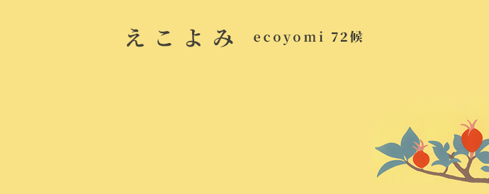 ecoyomi_19