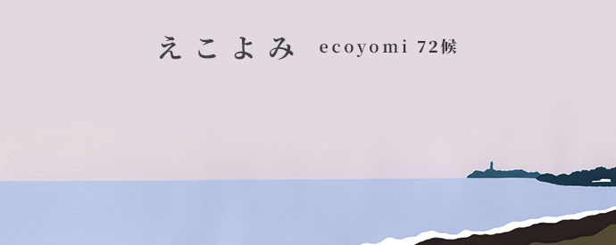 ecoyomi_22