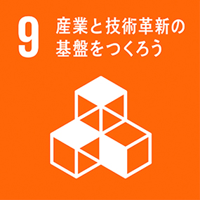 SDGs Icon