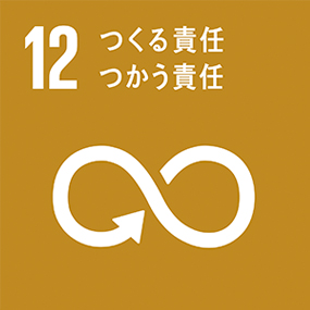 SDGs Icon