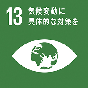 SDGs Icon