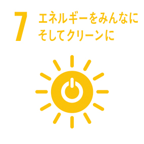 SDGs Icon