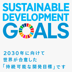 SDGs Icon