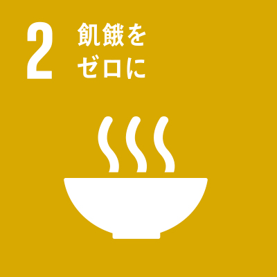 SDGs Icon