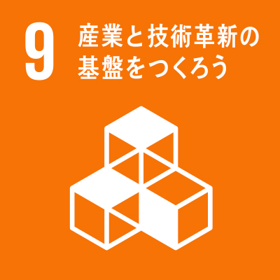 SDGs Icon