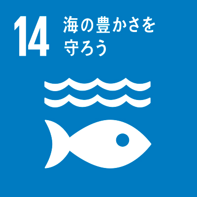 SDGs Icon