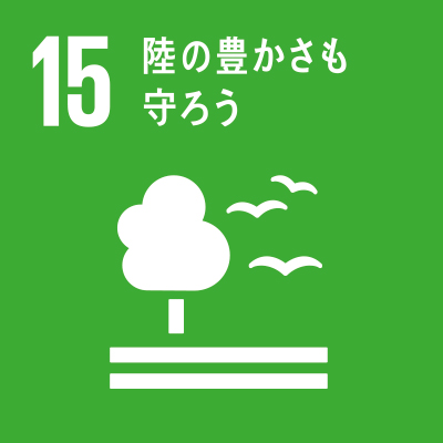 SDGs Icon