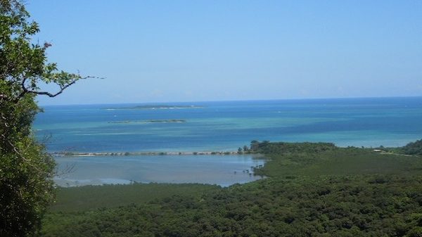 沖縄のサンゴが危ない！　海水温上昇で大規模白化が続く